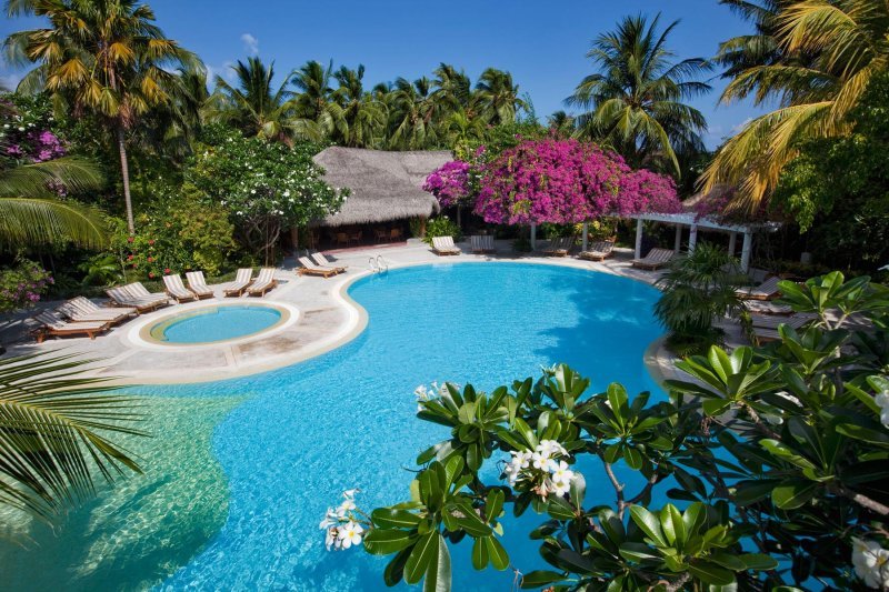 Niva Kuramathi Maldives