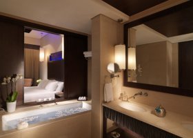 dubaj-hotel-anantara-the-palm-dubai-resort-spa-023.jpg