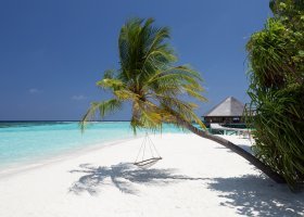 maledivy-hotel-vilamendhoo-island-037.jpg