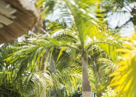 mauricius-hotel-veranda-palmar-beach-071.jpg
