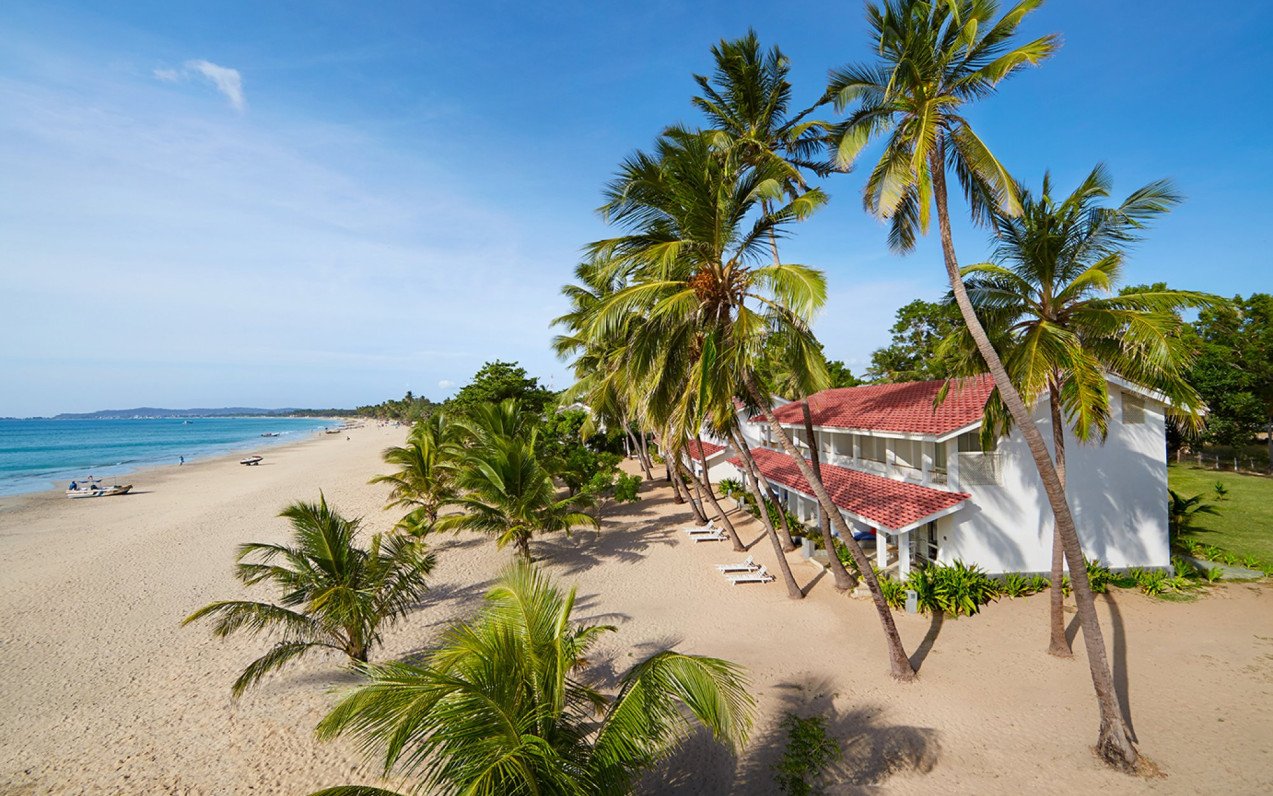 Trinco Blu by Cinnamon