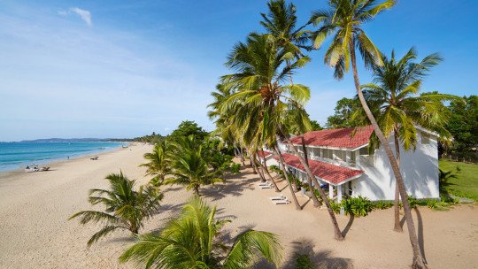 Trinco Blu by Cinnamon