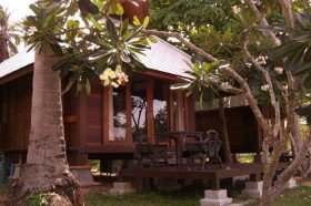 Oriental Garden View