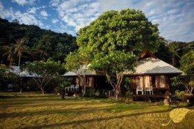 Tropical Garden View