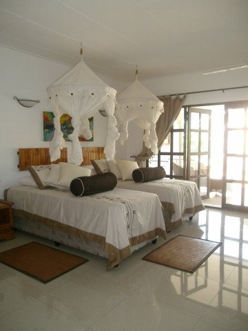 Standard (Twin Room)