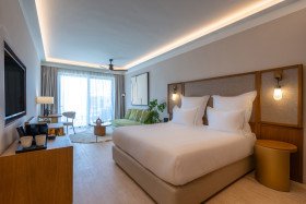 Tropical Open Plan Suite with Shared Pool /*